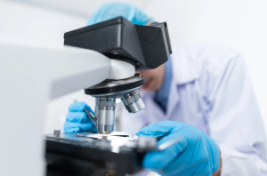 Drug Discovery and Development Sharpens Skills for Regulatory Success